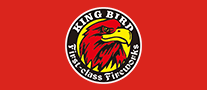 霸鳥(niǎo)KINGBIRD怎么樣