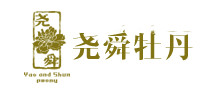堯舜牡丹怎么樣