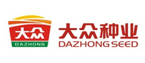 大眾DAZHONG怎么樣