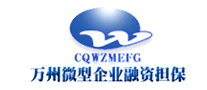 萬(wàn)州微型企業(yè)融資擔(dān)保怎么樣